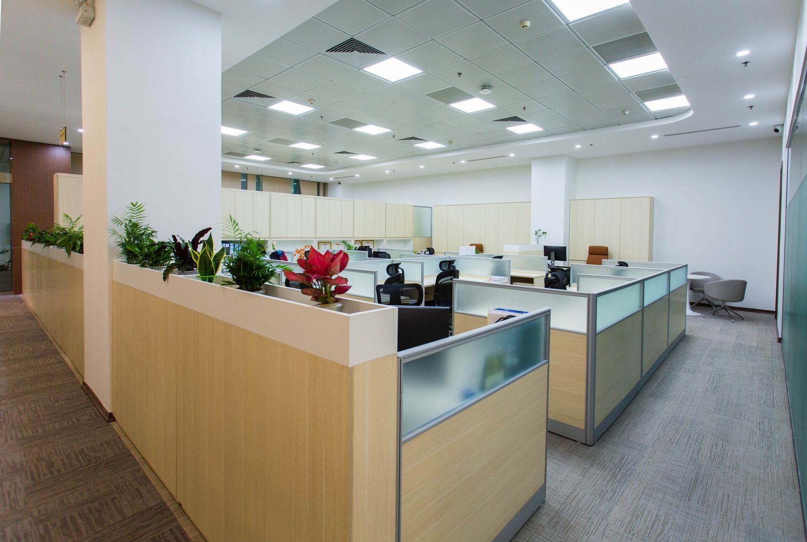 Modern Open Office Space with Workspace Cubicles